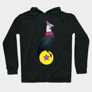 The Fantastic Animal Circus. Part 2 Hoodie